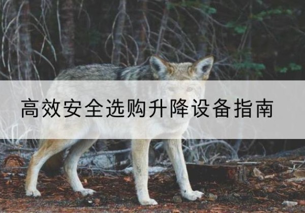 泗县升降货梯厂家推荐-*安全选购升降设备指南