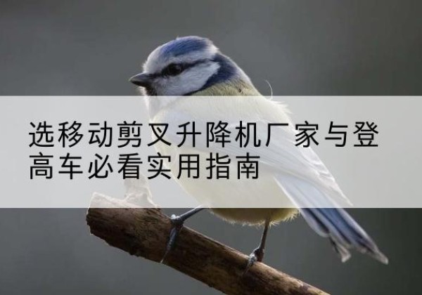 泗县电动升降机厂家-选移动剪叉升降机厂家与登高车必看实用指南
