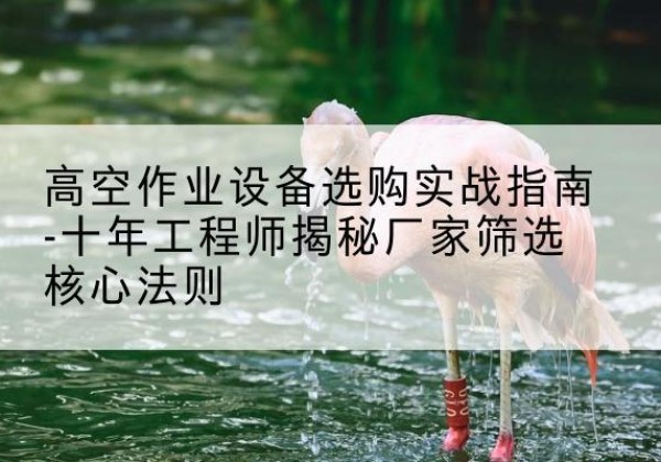 泗县剪叉式升降机厂家-高空作业设备选购实战指南-十年工程师揭秘厂家筛选核心法则